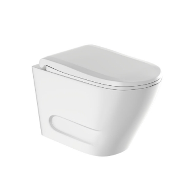 Picture of Rimless Blind Installation Wall Hung WC - White Matt