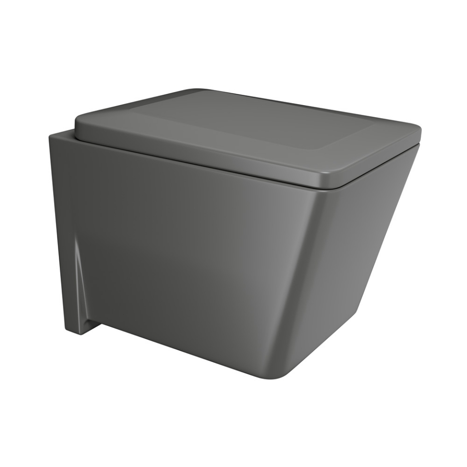 Picture of Rimless Blind Installation Wall Hung WC - Grey Matt